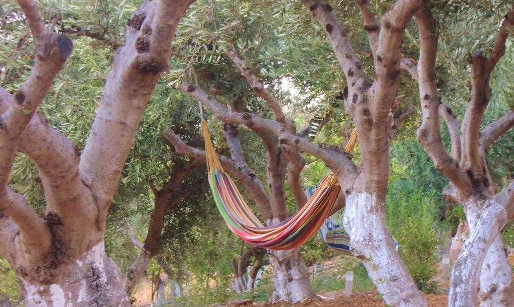 Kalliroe Apartments -Creta Agia Galini Oda fotoğraf
