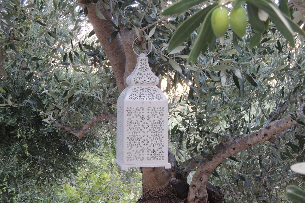 Kalliroe Apartments -Creta Agia Galini Dış mekan fotoğraf